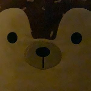 Meet your Posher, Nina